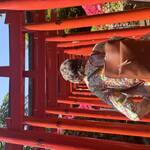 Australian sisters visited Yanaka Ginza and Nezu Shrine.