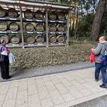 Australian couple enjoyed autumn day in Tokyo