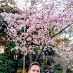 Ciao!   Hola amigos!　Hello everyone!